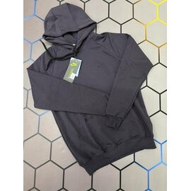 Худи чоловічий 13356 grey р.S-2XL "Alex Clothes" недорого оптом від прямого постачальника