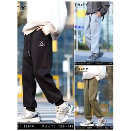 Фотография Штаны детские спортивные на мальчика 02614 grey р.122-146 "Delfinka" недорого оптом от прямого поставщика