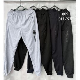 Штани спортивні чоловічі 011NB l.grey р.46-54 "Shon" недорого оптом від прямого постачальника