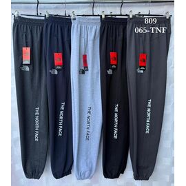 Штани спортивні чоловічі 065TNF grey р.48-58 "Shon" недорого оптом від прямого постачальника