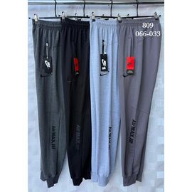 Штани спортивні чоловічі 066-033 grey р.48-58 "Shon" недорого оптом від прямого постачальника