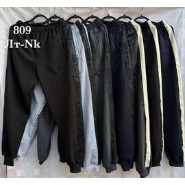 Штани спортивні чоловічі LT1 grey р.46-54 "Shon" недорого оптом від прямого постачальника