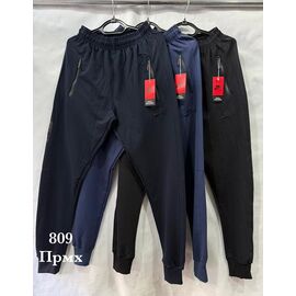 Штани спортивні чоловічі PRMX1 navy р.48-58 "Shon" недорого оптом від прямого постачальника