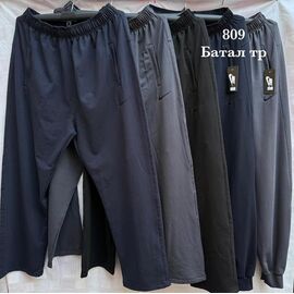 Штани спортивні чоловічі S1982 grey р.58-66 "Shon" недорого оптом від прямого постачальника