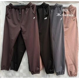 Штани спортивні жіночі Ж1 grey р.52-60 "Shon" недорого оптом від прямого постачальника