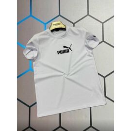 Футболка чоловіча 13393 white р.S-2XL "Alex Clothes" недорого оптом від прямого постачальника