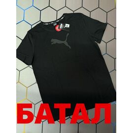 Фотография Футболка мужская 13428 black р.2XL-6XL "Alex Clothes" недорого оптом от прямого поставщика