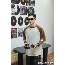 Футболка чоловіча ADM82617 white-brown р.M-3XL "2BRO" недорого оптом від прямого постачальника