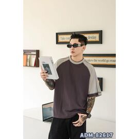 Футболка чоловіча ADM82617 brown-beige р.M-3XL "2BRO" недорого оптом від прямого постачальника