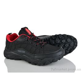 Фотография Кроссовки женские модные Весна/осень 4188-B8879-1 (8 пар р.36-41) "Мир" недорого оптом от прямого поставщика