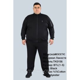 Фотография Спортивный мужской костюм ESCETIC батал  размеры 54-62 (3цв) "REMAIN" купить недорого от прямого поставщика