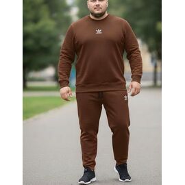 Фотография Костюм спортивный мужской ZW1212 brown р.54-62 "Zalov" недорого оптом от прямого поставщика