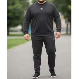 Фотография Костюм спортивный мужской ZW1215 d.grey р.54-62 "Zalov" недорого оптом от прямого поставщика