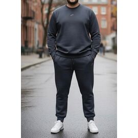 Костюм спортивний чоловічий ZW1220 grey р.54-62 "Zalov" недорого оптом від прямого постачальника