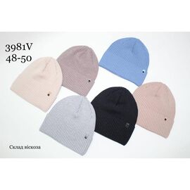 Фотография Шапка детская на мальчика 3981V mix р.48-50 "SELFI" недорого оптом от прямого поставщика