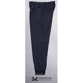 Спортивні штани чоловічі прямі ESCETIC розміри 54-62 "REMAIN" недорого від прямого постачальника