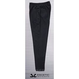 Спортивні штани чоловічі прямі ESCETIC розміри M-3XL (2кв)"REMAIN" недорого від прямого постачальника