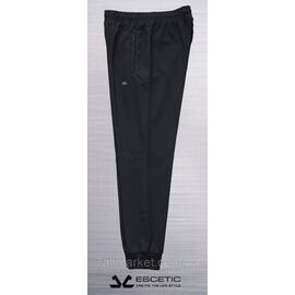 Спортивні штани чоловічі на манжеті ESCETIC розміри M-3XL (2кв) "REMAIN" недорого від прямого постачальника