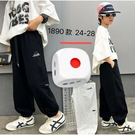 Фотография Штаны детские спортивные на мальчика 1890 grey р.6-10 "Фунтик" недорого оптом от прямого поставщика