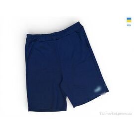Фотография Шорты мужские Лето 02PM т.синій (5 шт. р.сетка 48-56) "Sport style" недорого оптом от прямого поставщика