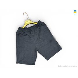 Фотография Шорты мужские Лето 02-1NK т.сірий (5 шт. р.сетка 46-54) "Sport style" недорого оптом от прямого поставщика