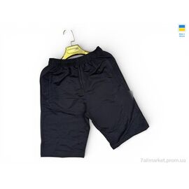 Фотография Шорты мужские Лето 02-1NK чорний (5 шт. р.сетка 46-54) "Sport style" недорого оптом от прямого поставщика