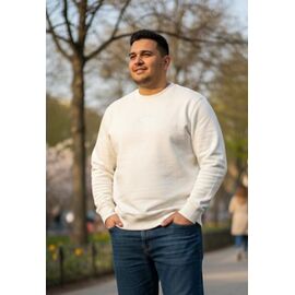 Фотография Свитер мужской DL675 l.beige р.54-62 "Delviago" недорого оптом от прямого поставщика