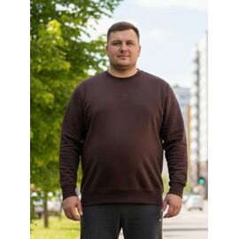 Фотография Свитер мужской DL683 brown р.54-62 "Delviago" недорого оптом от прямого поставщика