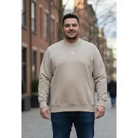 Фотография Свитер мужской DL691 beige р.54-62 "Delviago" недорого оптом от прямого поставщика