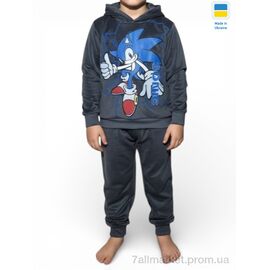 Фотография Спортивный костюм детский Весна/осень Костюм Сонік сірий (4 шт. р.сетка 2-6) "Kir15" недорого оптом от прямого поставщика