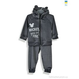 Костюм дитячий Весна/осінь 183262 сірий (3 шт. р.сітка92-104) "Kir15" недорого оптом від прямого постачальника