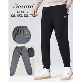 Фотография Штаны спортивные мужские A787-5 mix р.4XL-7XL "Алия" недорого оптом от прямого поставщика