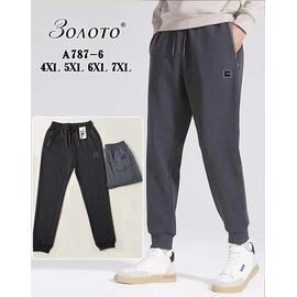 Фотография Штаны спортивные мужские A787-6 mix р.4XL-7XL "Алия" недорого оптом от прямого поставщика
