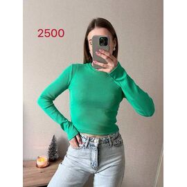 Топ жіночий 2500 l.green р.42-46 "FSN" недорого оптом від прямого постачальника