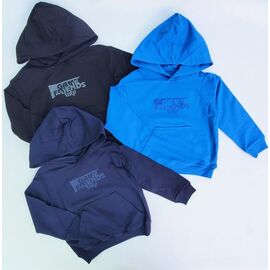 Фотография Худи детский на мальчика 24448 black р.2-6 "Meloria" недорого оптом от прямого поставщика