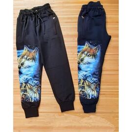 Фотография Штаны детские спортивные на мальчика ML3539 navy р.8-16 "Meloria" недорого оптом от прямого поставщика