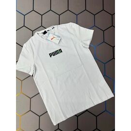 Фотография Футболка мужская 13498 white р.S-2XL "Alex Clothes" недорого оптом от прямого поставщика