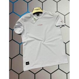Фотография Футболка мужская 13515 white р.S-2XL "Alex Clothes" недорого оптом от прямого поставщика