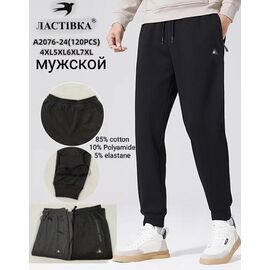 Штани спортивні чоловічі 2076-24 mix р.4XL-7XL "ZERO" недорого оптом від прямого постачальника