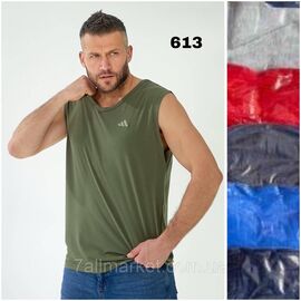 Фотография Майка мужская молодёжная  р-ры XL-3XL (микс цв) "NICOLAS" недорого оптом от прямого поставщика