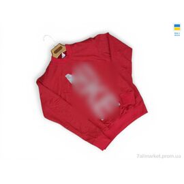 Фотография Кофта мужская Весна/осень 81NI кораловий (4 шт. р.сетка M-2XL) "Sport style" недорого оптом от прямого поставщика