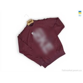 Фотография Кофта мужская Весна/осень 81NI бордовий (4 шт. р.сетка M-2XL) "Sport style" недорого оптом от прямого поставщика