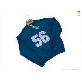 Фотография Кофта мужская Весна/осень 81 джинс (4 шт. р.сетка M-2XL) "Sport style" недорого оптом от прямого поставщика