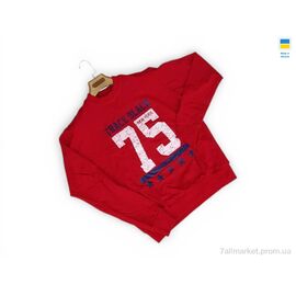 Фотография Кофта мужская Весна/осень 81 червоний (4 шт. р.сетка M-2XL) "Sport style" недорого оптом от прямого поставщика