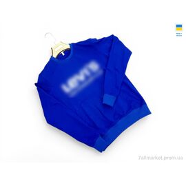 Фотография Кофта мужская Весна/осень 81LE електрик (4 шт. р.сетка M-2XL) "Sport style" недорого оптом от прямого поставщика