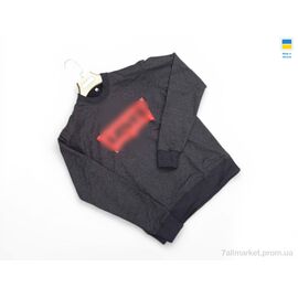 Фотография Кофта мужская Весна/осень 81LE т.сірий (4 шт. р.сетка M-2XL) "Sport style" недорого оптом от прямого поставщика