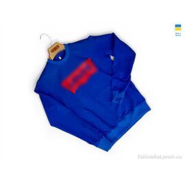 Фотография Кофта мужская Весна/осень 81LE електрик з червоним (4 шт. р.сетка M-2XL) "Sport style" недорого оптом от прямого поставщика