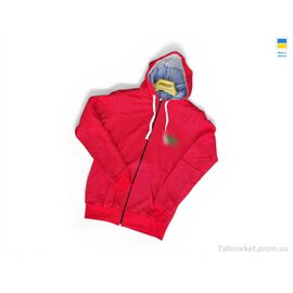 Фотография Батник мужской Весна/осень 23LA червоний (4 шт. р.сетка M-2XL) "Sport style" недорого оптом от прямого поставщика