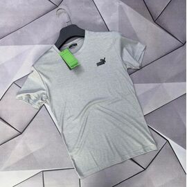 Фотография Футболка мужская 66250 grey р.S-2XL "MACCALI" недорого оптом от прямого поставщика