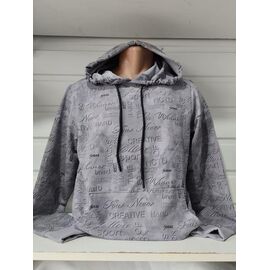 Фотография Худи мужской 1471 grey р.S-2XL "RING" недорого оптом от прямого поставщика